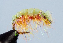  Good Fly-tying Pic shared by Colin Pittendrigh 