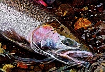 Ted Bryant's Fly-fishing Art Photo – Fly dreamers 