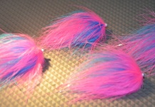 PINK AND BLUE MARABOU TUBE FLY