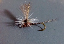 Bryan Frey 's Good Fly-tying Pic – Fly dreamers 