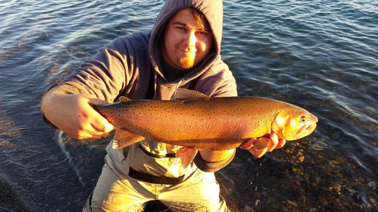 shane with a 7 pound pilot  peak