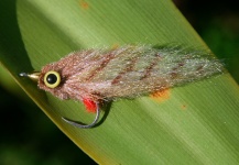 Fly-tying for Snook - Robalo - Pic by Tom Karrow 