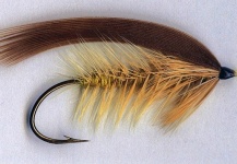 Early Salmon Fly