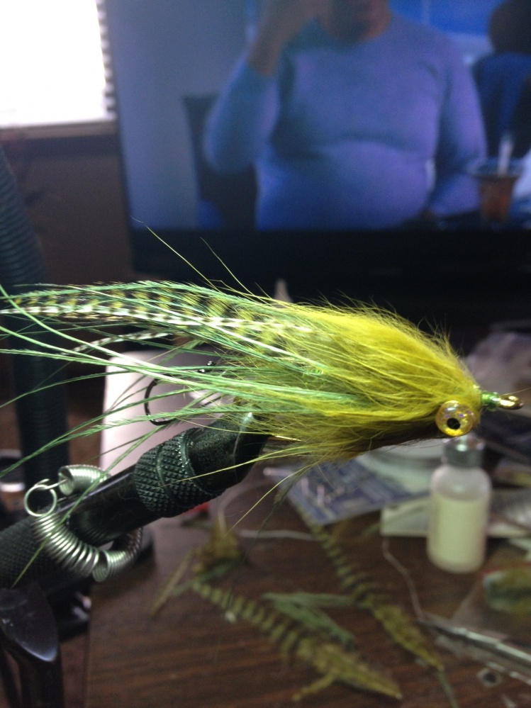 Intruder style fly scaled down for Browns and Bows.  