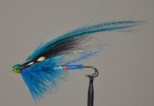 KINGFISHER BLUE TUBE FLY