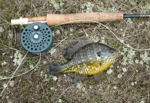 Steve Gremillion 's Fly-fishing Pic of a Bluegill – Fly dreamers 