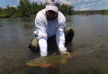 Tiger of the River Fly-fishing Situation – Big Horse shared this Cool Image in Fly dreamers 
