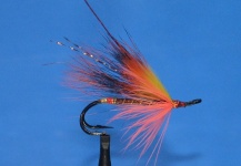 TIGER BARRED SALMON FLY - Salmon hook Daiichi 7131 # 6