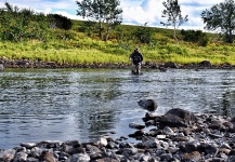  European brown trout – Gran Situación de Pesca con Mosca – Por Trond Kjærstad