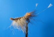 Evert Eenkhoorn 's Interesting Fly-tying Image – Fly dreamers 