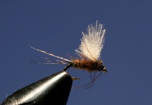 Marcelo Morales 's Fly-tying Pic – Fly dreamers 