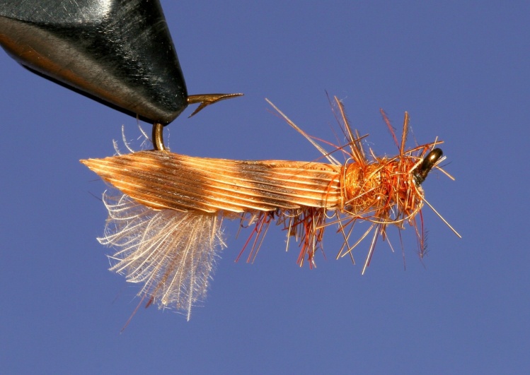 Inverted caddis