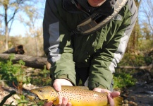 Last trip of the 2012 Wisconsin trout season.