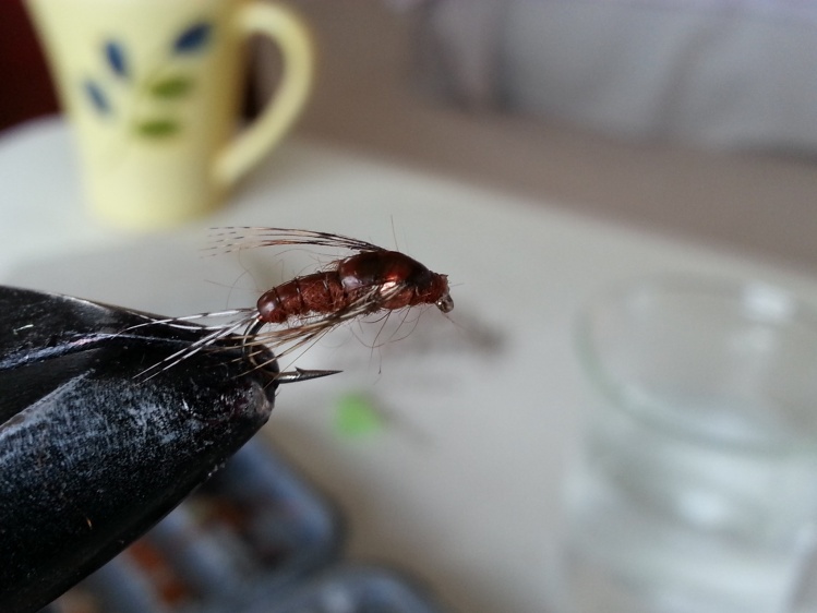 Thin Skin Mayfly Nymph.