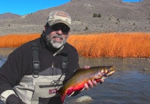 Brook Trout Fly Fishing on the Eastern Sierras - Fly dreamers