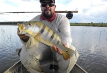 Fly-fishing Pic of Peacock Bass shared by Samuel Villanova – Fly dreamers 