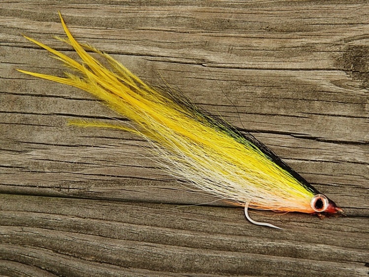Bob Popovics Hollow Flye in yellow, stripers favorite color at times and bluefish devour em.