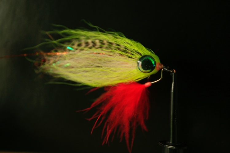 Brad Bohen's Hangtime Optic Minnow tied on a tube and tied to a worm hook (in this case size 5/0) to make it Snagproof! You might miss some strikes, but you'll never loose a fly to vegetation! The more powerful a predator is,  the better the hookup ratio 