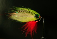 Mark Kleimann 's Fly for Muskie -  Photo – Fly dreamers 