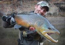Mountain Made Media 's Fly-fishing Catch of a Brown trout – Fly dreamers 