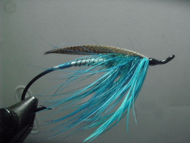 This is a simple blue spey the other is based on a Ray Mead but I used blue in the wing instead of black. I guess you could call it a depressed Ray Mead.