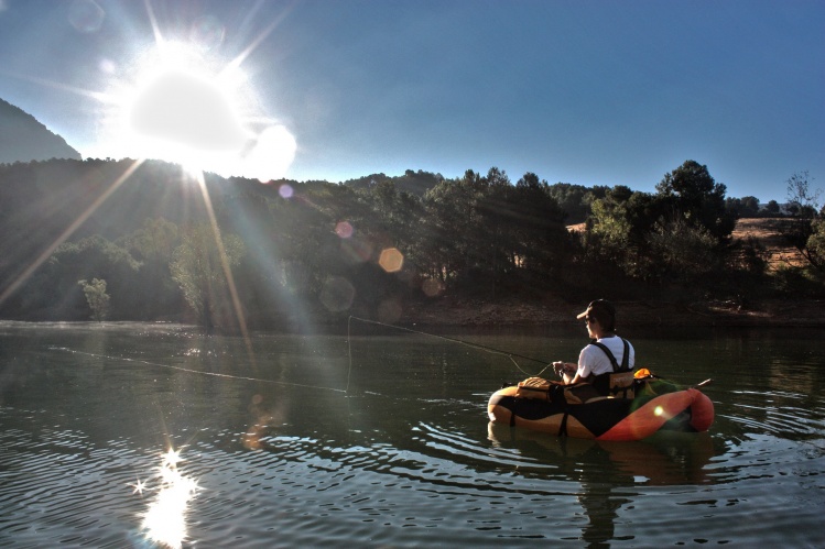 Remembering summer mornings