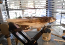 David Bullard 's Fly for Jacks - – Fly dreamers 