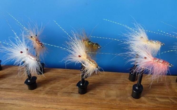 Cdc shrimp for Sea Trout.
Cdc, sparkle braid, two shrimp eyes, and two pieces off chrystal flash. Uv glue.