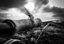 January Seatrout Hunt in B&W