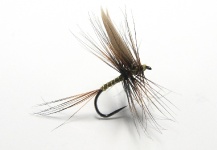 Alan Bithell 's Fly-tying for Rainbow trout - Pic – Fly dreamers 