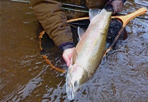  Fotografía de Pesca con Mosca de Steelhead por Kevin App – Fly dreamers 