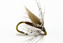 Alan Bithell 's Fly-tying for Brown trout - Pic – Fly dreamers 