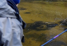 Cool Fly-fishing Situation of Brown trout shared by Lukas Bauer 