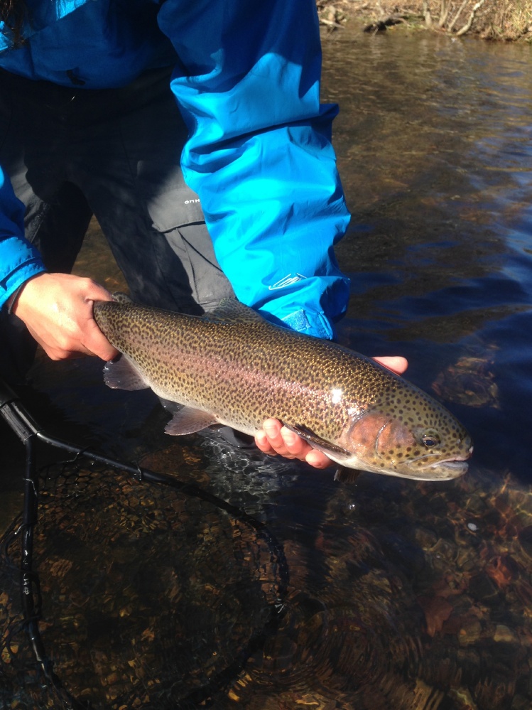 My friend Kevin with another sweet bow.