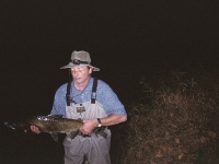 Fly fishing picture