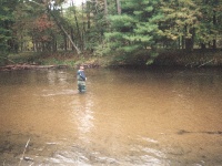 Fly fishing picture