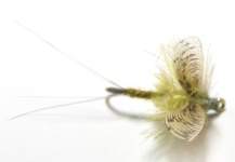 Fly-tying for Rainbow trout - Photo by Alan Bithell – Fly dreamers 