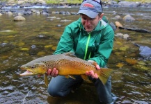 Mike Wright 's Fly-fishing Picture of a Brown trout – Fly dreamers 