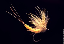 Nice Fly-tying Pic by Pierre Lainé 