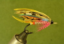 Sven Axelsson 's Fly for Atlantic salmon -  Photo – Fly dreamers 