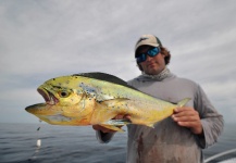Fly-fishing Picture of Dorado - Mahi Mahi shared by Taylor Brown – Fly dreamers