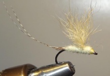Mark Patenaude 's Fly for Rainbow trout - Picture – Fly dreamers 
