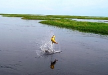  Situación de Pesca con Mosca de Dorado – Fotografía por Matias Sabatini en Fly dreamers