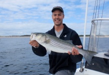 David Berenbroick 's Fly-fishing Image of a Striped Bass – Fly dreamers 