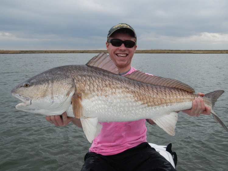 Joe Petrow - Bull Louisiana Red