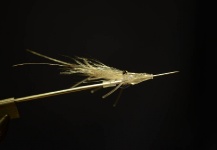  Mira esta fotografía de atado de moscas para Trucha marrón de Frederik Lorentzen – Fly dreamers