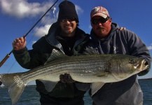 John Kelly 's Fly-fishing Picture of a Striped Bass – Fly dreamers 