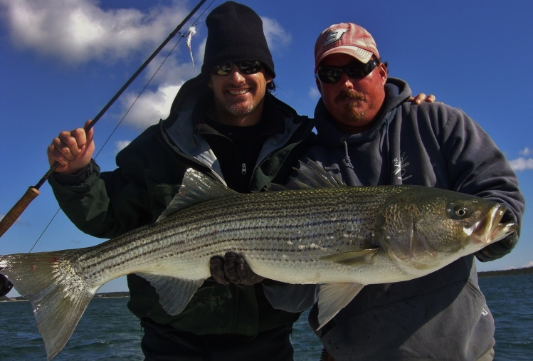 Striped bass with Capt. Joe LeClair in Massachusetts.