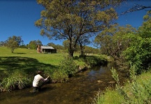 Fly-fishing Situation of Brown trout shared by Brett Smith 