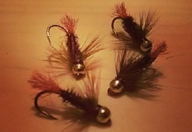 Fly Tying 2013